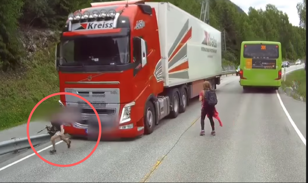 Vozačeva reakcija ostaviće vas bez daha! (VIDEO)