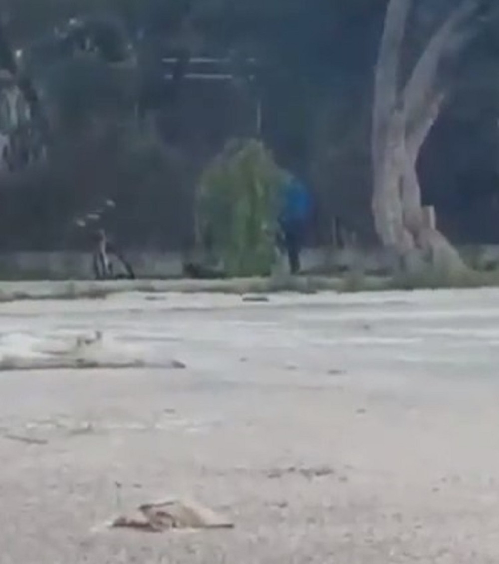 Užasan snimak sa ulice u Novom Pazaru zgrozio je celu Srbiju (UZNEMIRUJUĆ VIDEO)