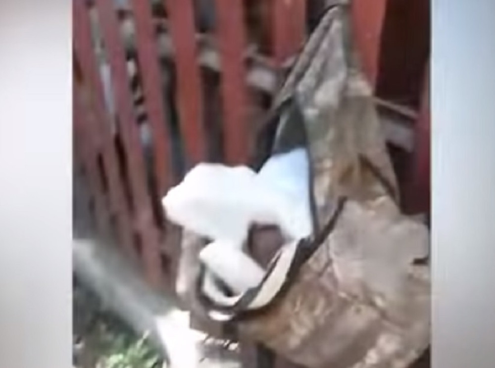 Đubretar krenuo da baci zaboravljenu kesu u kamion i začuo plač bebe, ZALEDIO SE!