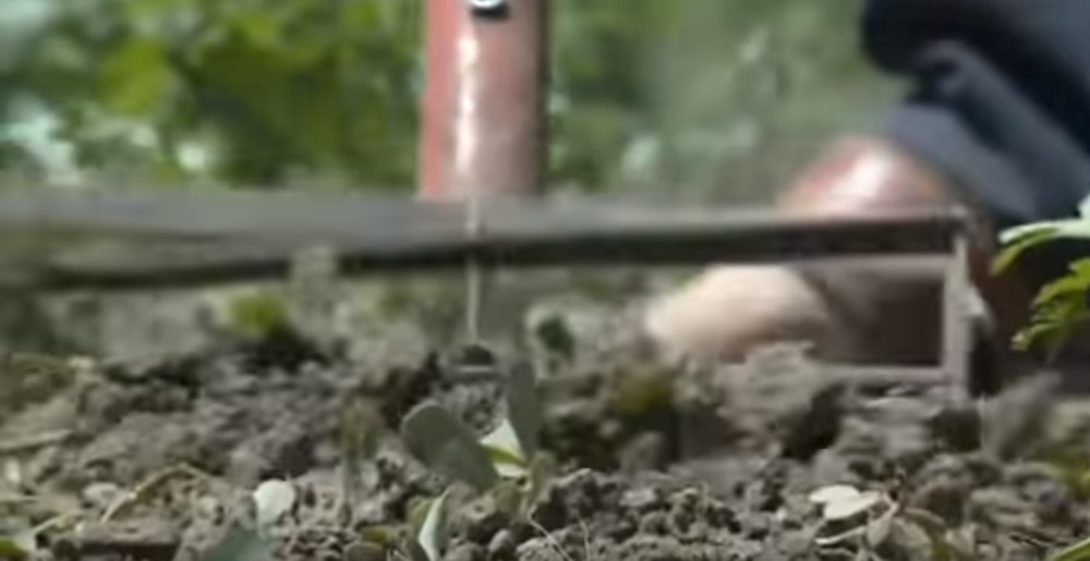 Srbin izumeo supermotiku koja čuva leđa, prvi kupac bio je - CRNOGORAC! (VIDEO)