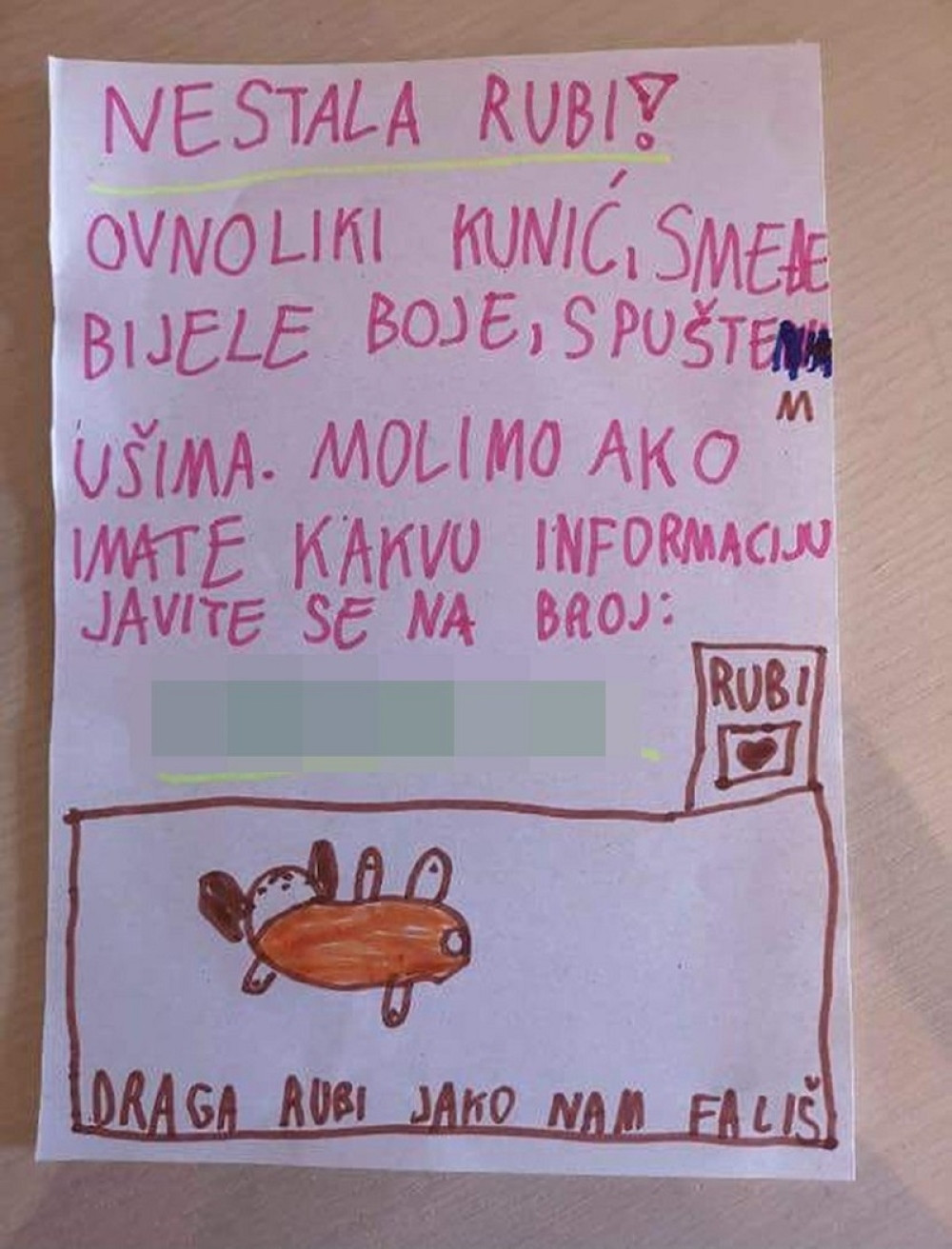 Dečiji oglas ispisan flomasterom rastužio je celi region