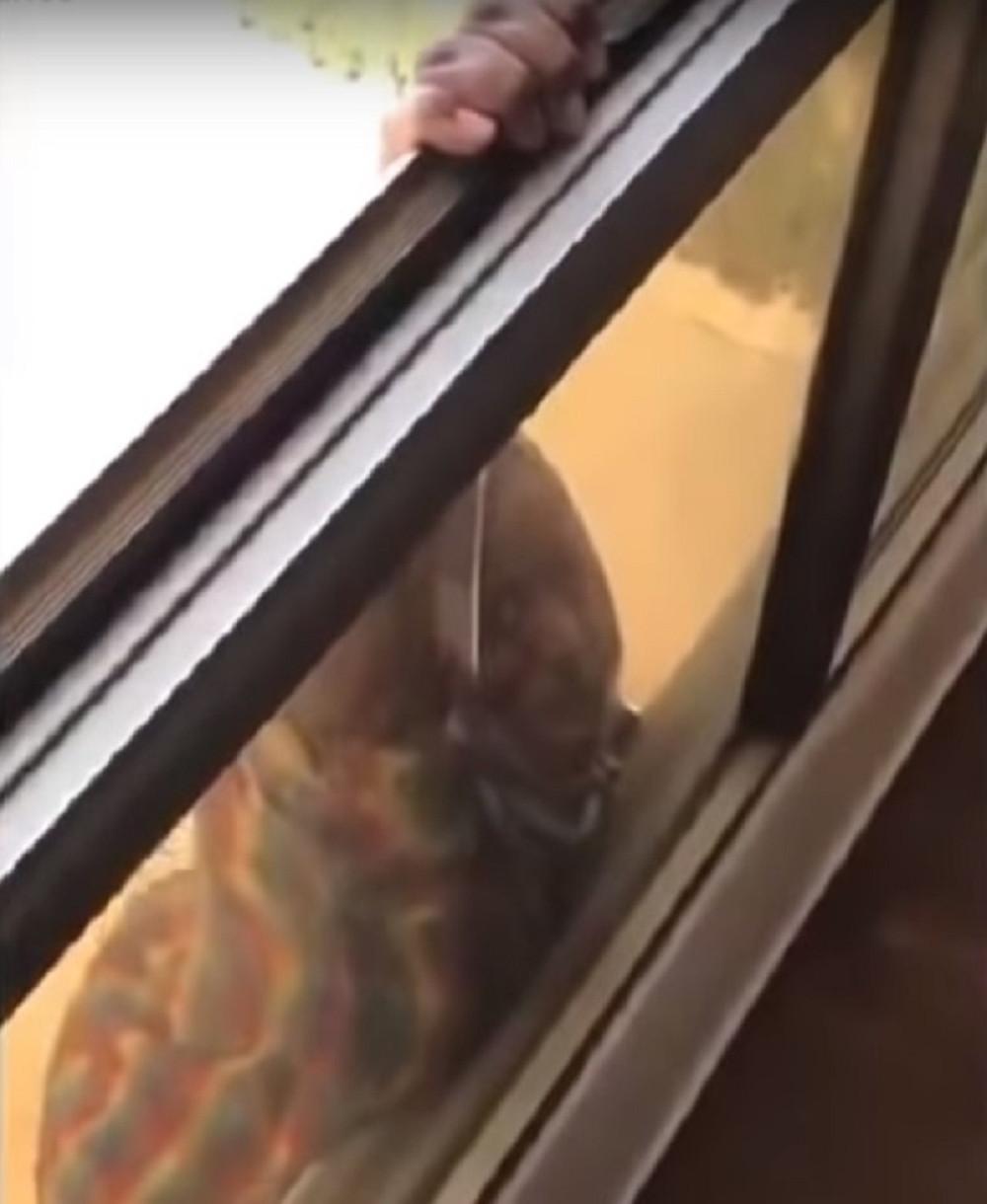 Umesto da joj pomogne, snimala kućnu pomoćnicu kako pada sa prozora na sedmom spratu - ODLUKA SUDA ĆE VAS IZBEZUMITI! (UZNEMIRUJUĆ VIDEO)