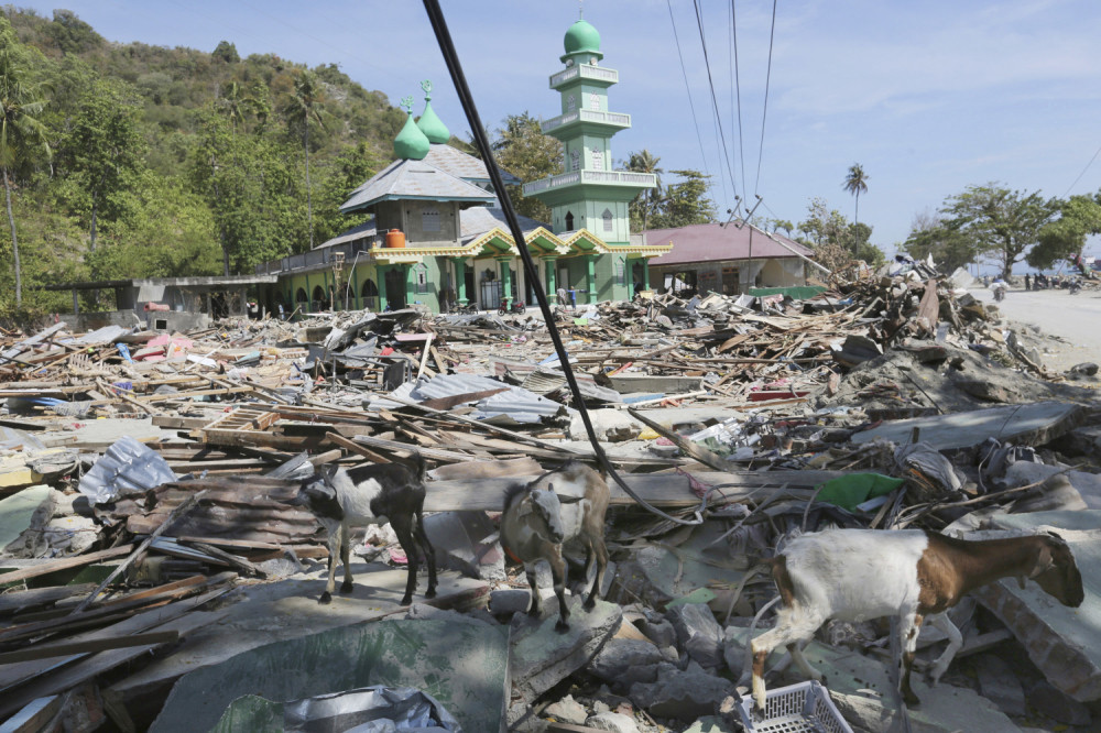 Jak zemljotres pogodio Sulavesi, stanovništvo bežalo u brda u strahu od cunamija