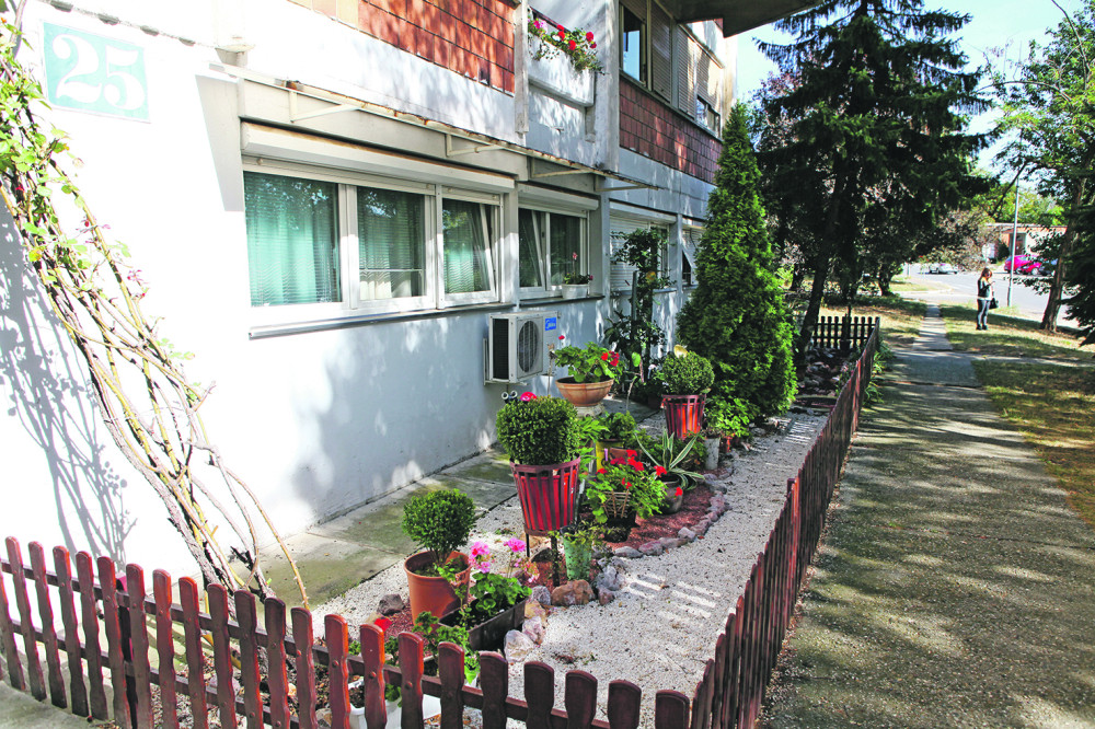 Jasmini je nešto gmizalo po dvorištu, niko ne zna šta je! Slikala je ČUDOVIŠTE! (FOTO)