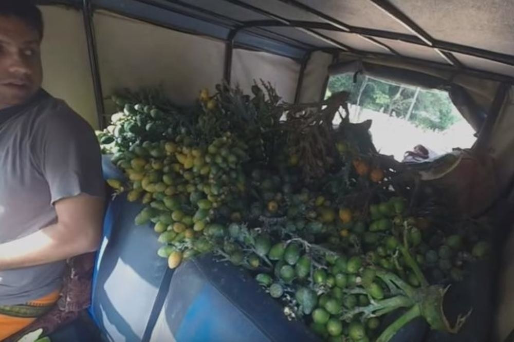 MILIONI LJUDI IH JEDU, A OD NJIH SE DOBIJA RAK! Nemojte ovakve orahe da okusite ni slučajno!