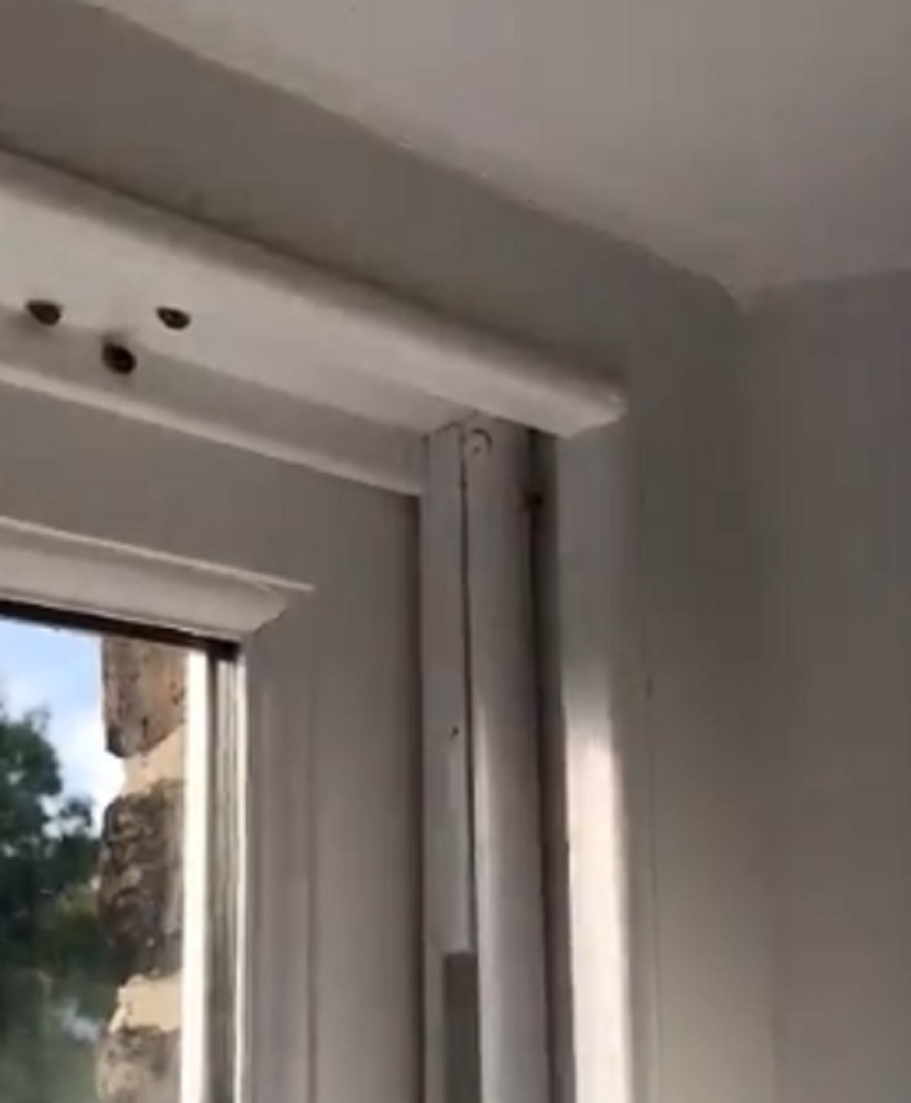 Ako primetite u stanu ove bubamare, možete dobiti polno prenosive bolesti! Ovako ćete ih prepoznati (VIDEO)