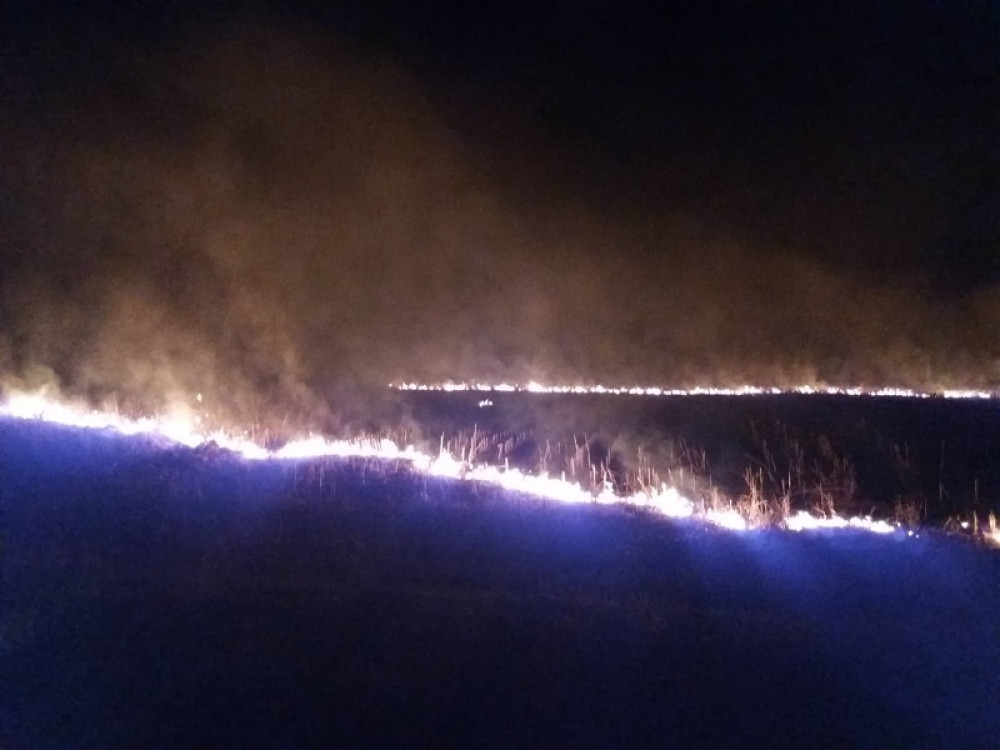 Pale njive i ne misle na posledice, bukte požari širom Srbije! Jezivi prizori! (FOTO GALERIJA)