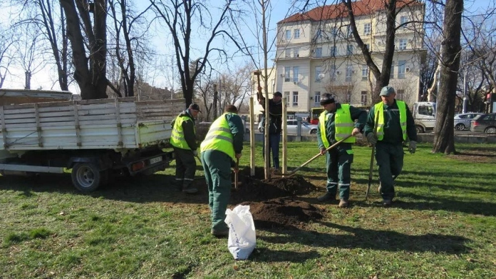 Vredni radnici JKP "Zelenilo-Beograd" ne staju! Trenutno rade na 33 lokacije, a nedavno su obeležili 89 godina od svog osnivanja (FOTO)