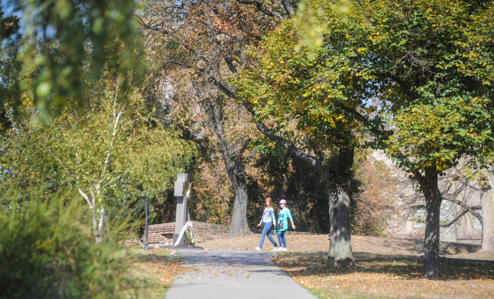 Uginulo nekoliko pasa tokom vikenda. Bačen otrov na Kalemegdanu oko dečjih igrališta