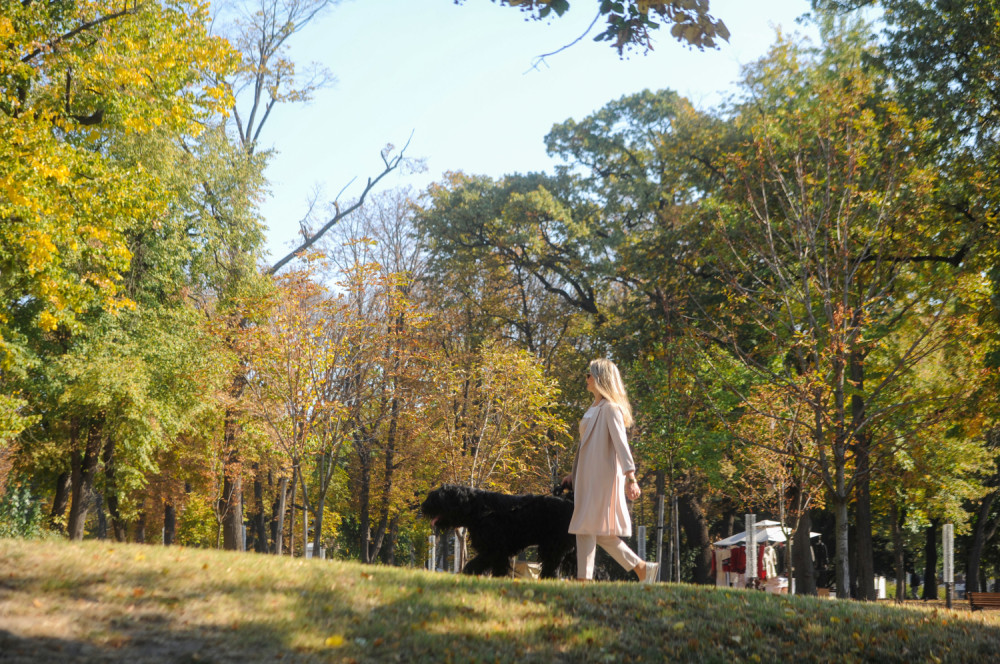 Devojka iz Srbije je u očaju poslala poruku na nepoznat broj, godinu dana kasnije joj je stigao odgovor koji nije mogla ni da zamisli!