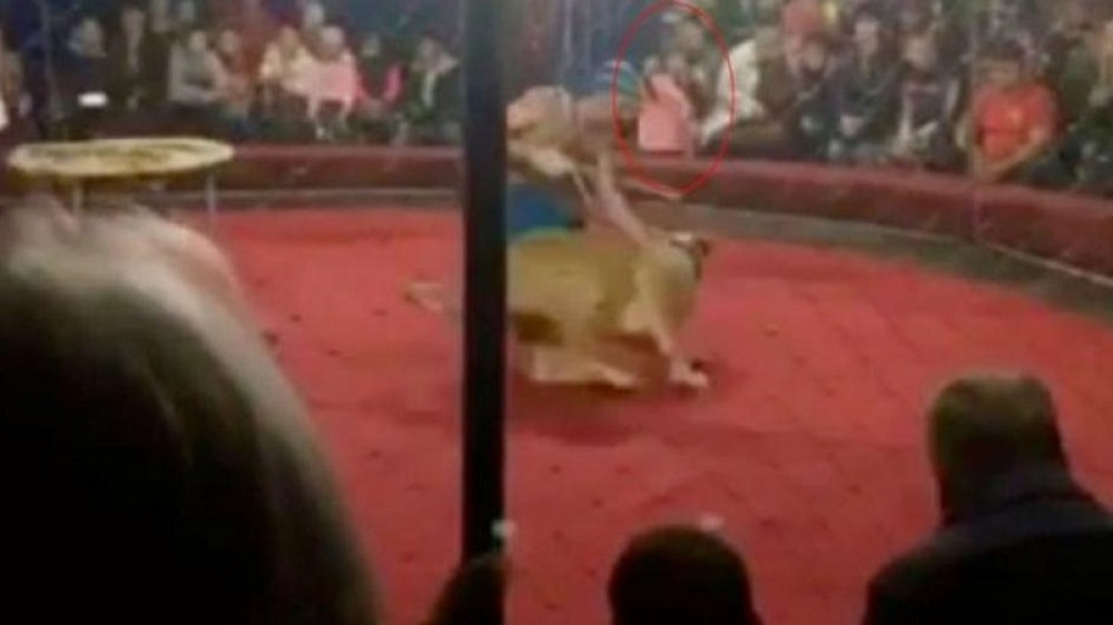 Lavica zabila devojčici (4) zube u glavu i otkinula joj uvo (UZNEMIRUJUĆ VIDEO)