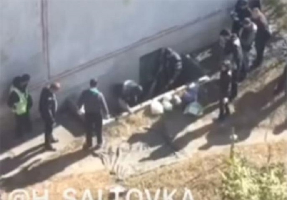Glavu sačuvali na terasi, a telo bacili pored zgrade (UZNEMIRUJUĆ VIDEO)