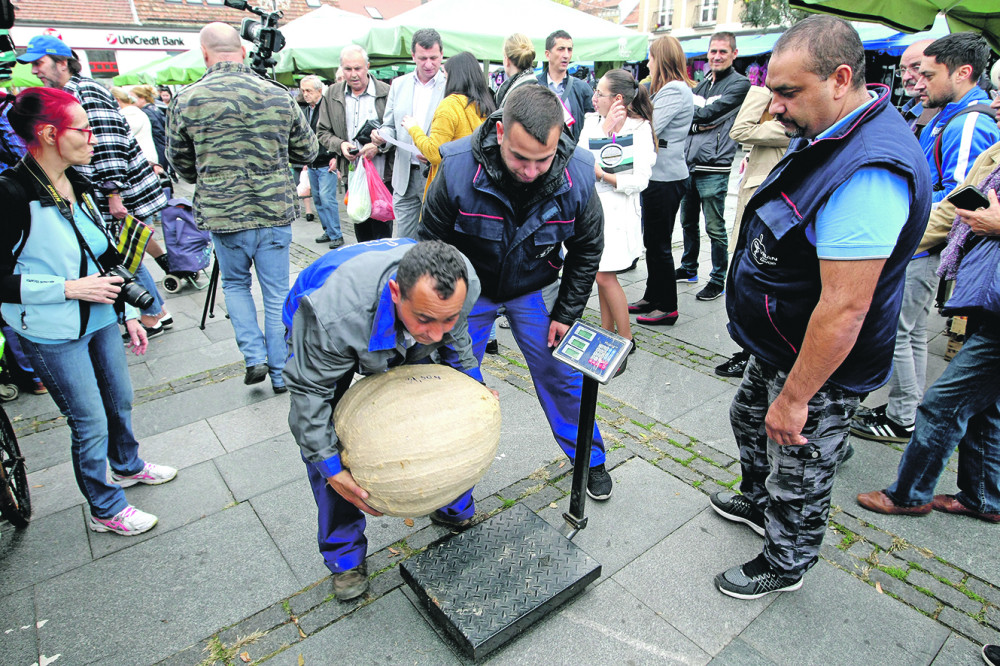 Najteža bundeva uzgojena u Opovu
