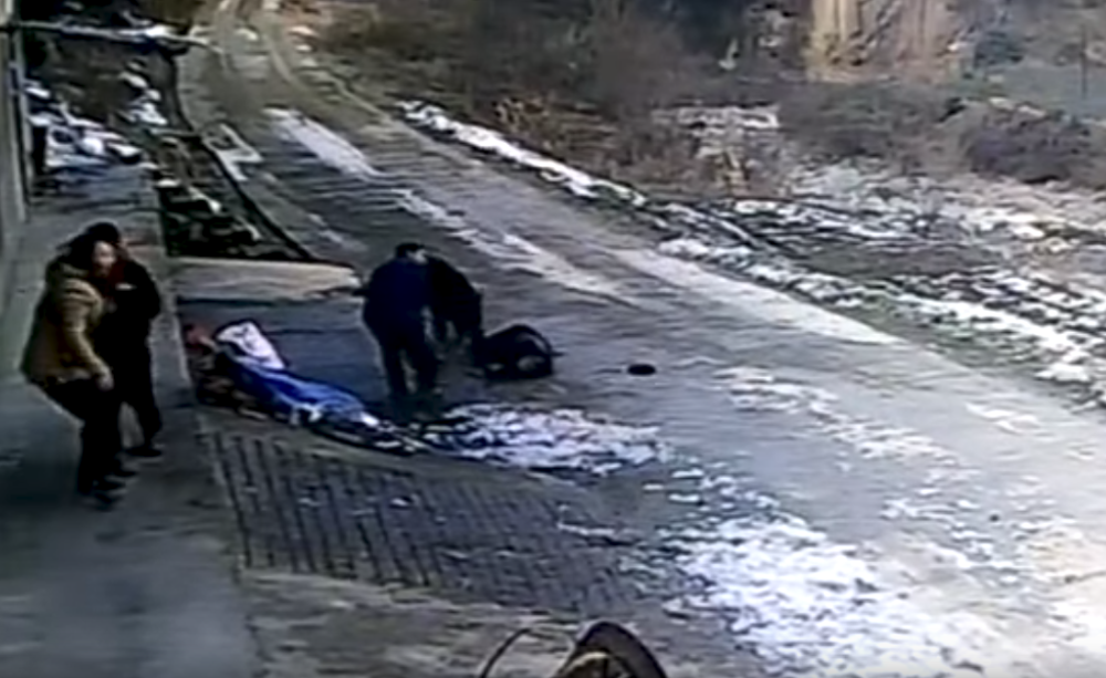 Divlja svinja kidisala na penzionera, ubijala ga sporo i mučno, pa krenula na njegovu ženu, na kraju je samo ona ostala na nogama