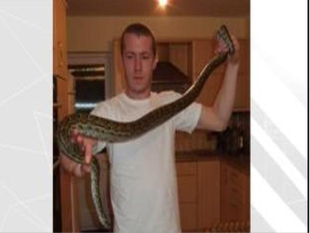 Piton je ubio svog vlasnika, a istraga je otkrila NEVEROVATAN RAZLOG SMRTI