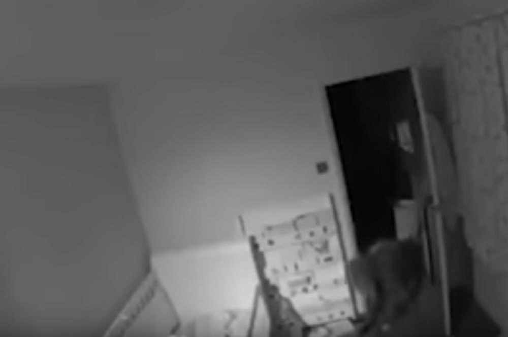 Oliver je stavio kameru u sobu svog sina (2), a onda je dobio upozorenje da je još neko u kući! Kada je video snimak SLEDIO SE