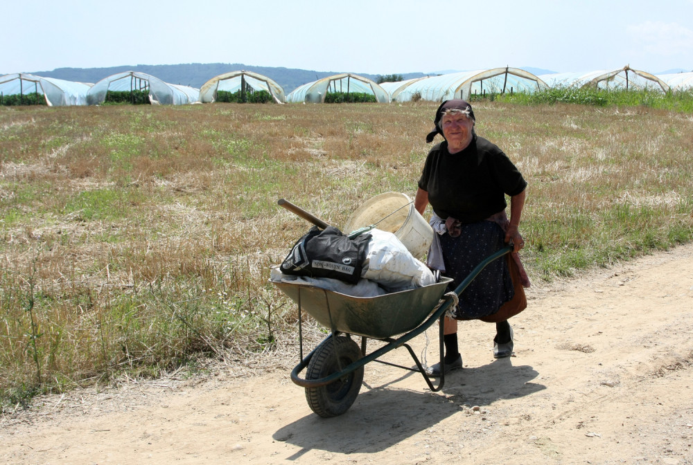 Ustajem u pola pet, krenem da čištim oko stoke, spremam doručak mužu, pa malo kod ovaca, na godišnjem nikada nisam bila, a NIKO HVALA DA MI KAŽE!