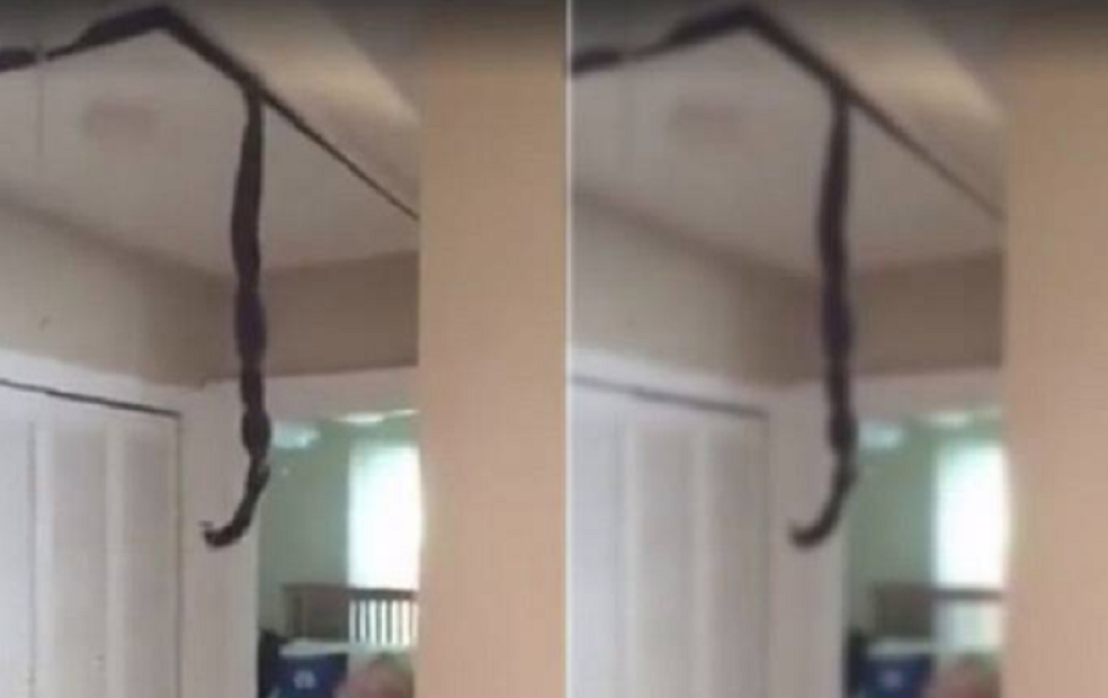 Ušao je u kuću, došao do svoje sobe, a kada je ugledao šta visi sa tavana umalo nije umro!