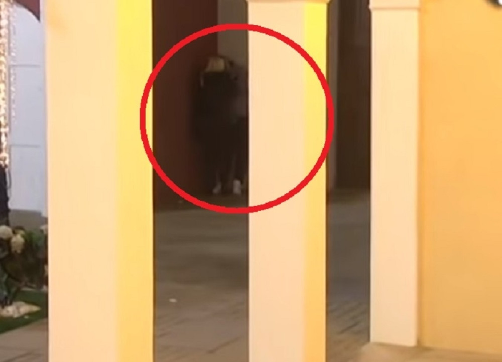 OVAJ POLJUBAC ĆE ODJEKNUTI SRBIJOM Mislili su da ih kamere ne snimaju, pa se prevarili! Od nje ovo nikad nismo očekivali! (VIDEO)