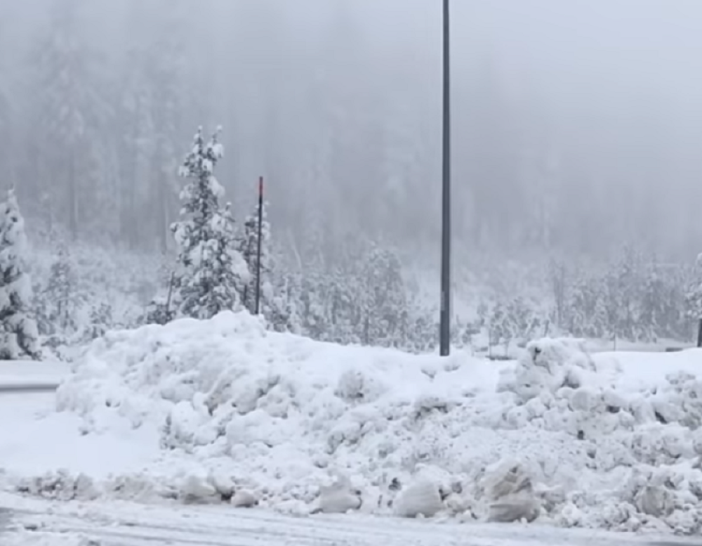 Dečak (5) nosio bebu pola kilometra na -30 stepeni, bili su potpuno sami i promrzli