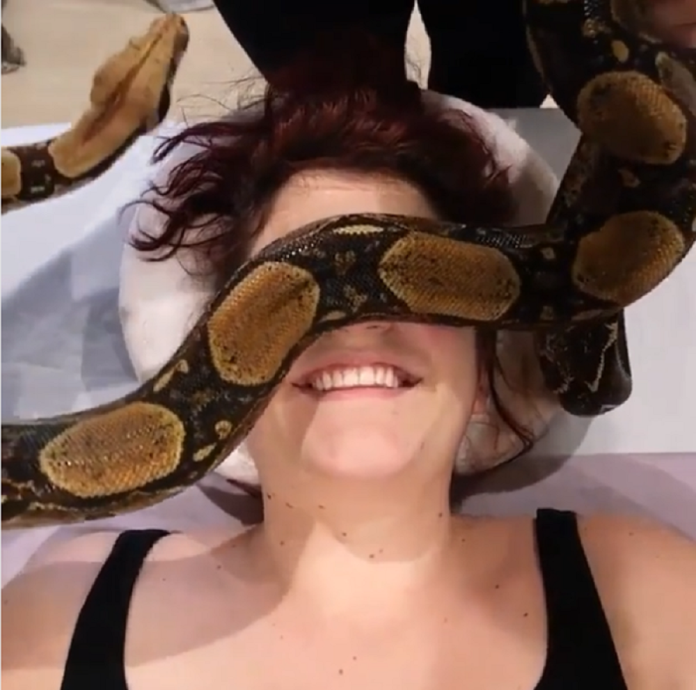 ZMIJE, PUŽEVI, PČELE... Ovo su najčudnije stvari koje ljudi rade zbog zdravlja i lepote! (VIDEO)