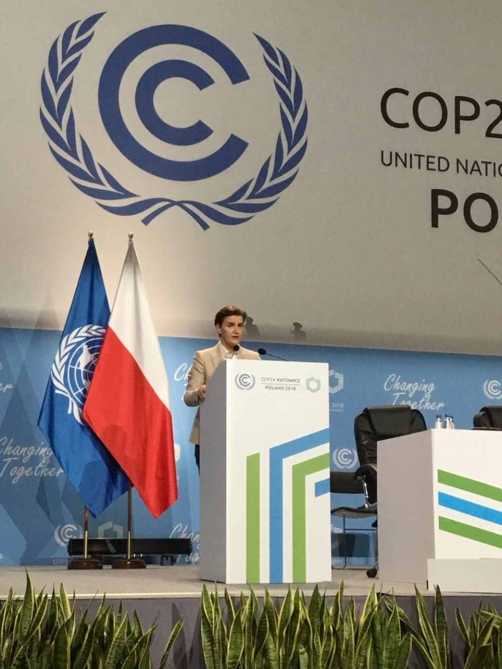 Brnabić: Zajedničko delovanje ključno za uspešno savladavanje klimatskih promena