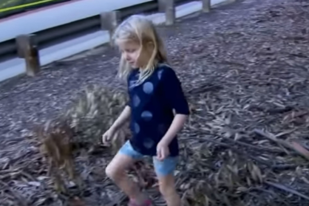 Ugledala je malenu devojčicu pored autoputa, a kada je videla šta je iza nje ZAVRIŠTALA JE (VIDEO)