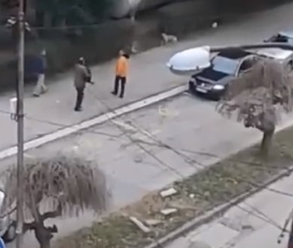 Krvoločni pas napao i povredio dete i još tri psa (FOTO+VIDEO)