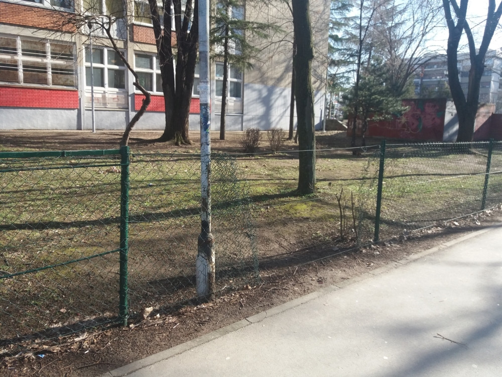 Pas ujeo osnovca iz Niša! Direktor: "Mališan je, istini za volju, krvario, ali sigurno nije životno ugrožen"