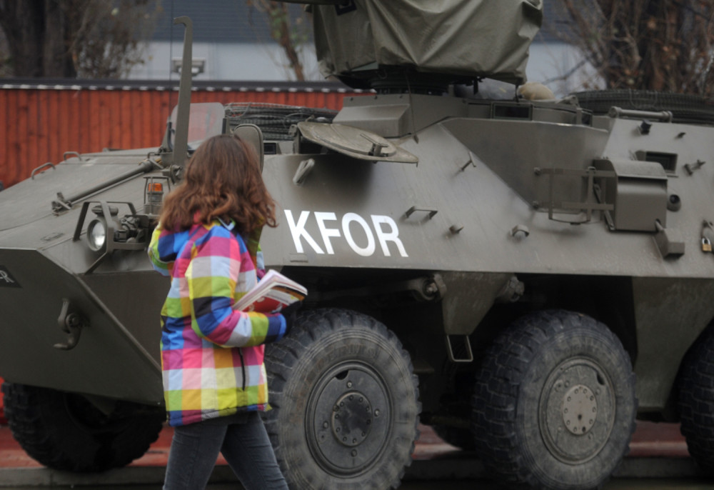 Ostavite Republiku Srpsku i srpsko Kosovo — bolje vam idu plastični tanjirići!