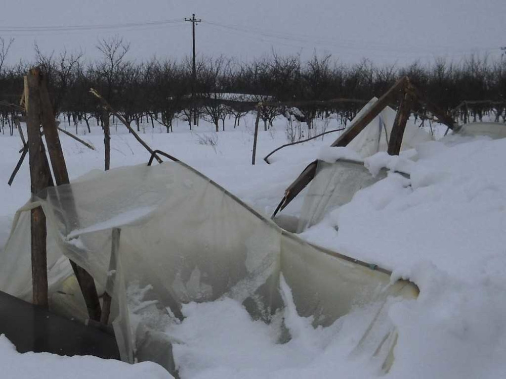 "Kad sam se probudio, čuo sam vrištanje. Video sam ljude sa krvavim glavama i rukama, a onda sam čuo da su poginuli..."