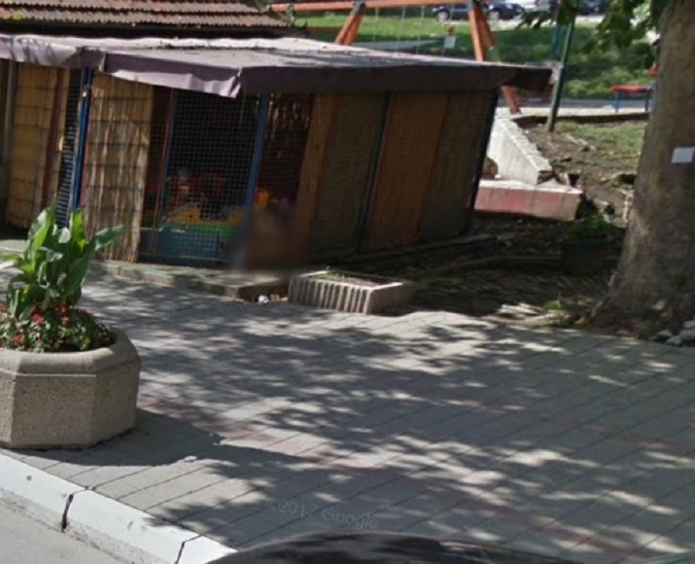 Ženu pojeli psi i mačke, ali nisu je ubili njeni ljubimci! Nigde nije bilo krvi, životinje su je polizale