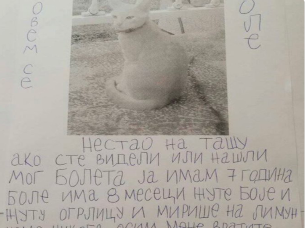 Oglas dečaka (7) podigao ceo Beograd na noge!