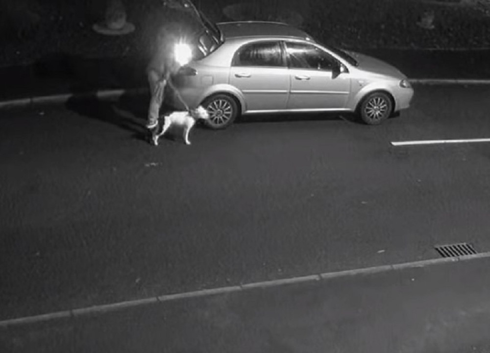 Ostavio svog ljubimca na ulici, a ono što je nesrećni pas uradio slomiće vam srce (VIDEO)