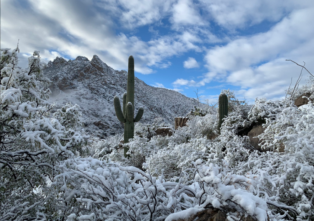 Pao sneg u zapadnim pustinjama, pola Amerike cvokoće zubima! (FOTO)