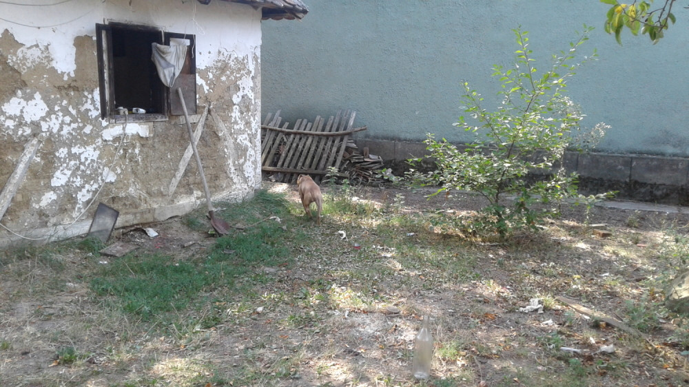 Devojka (20) se porodila, pa svoje bebe stare mesec dana prodala, a kada je otac dece saznao - tražio je polovinu novca!