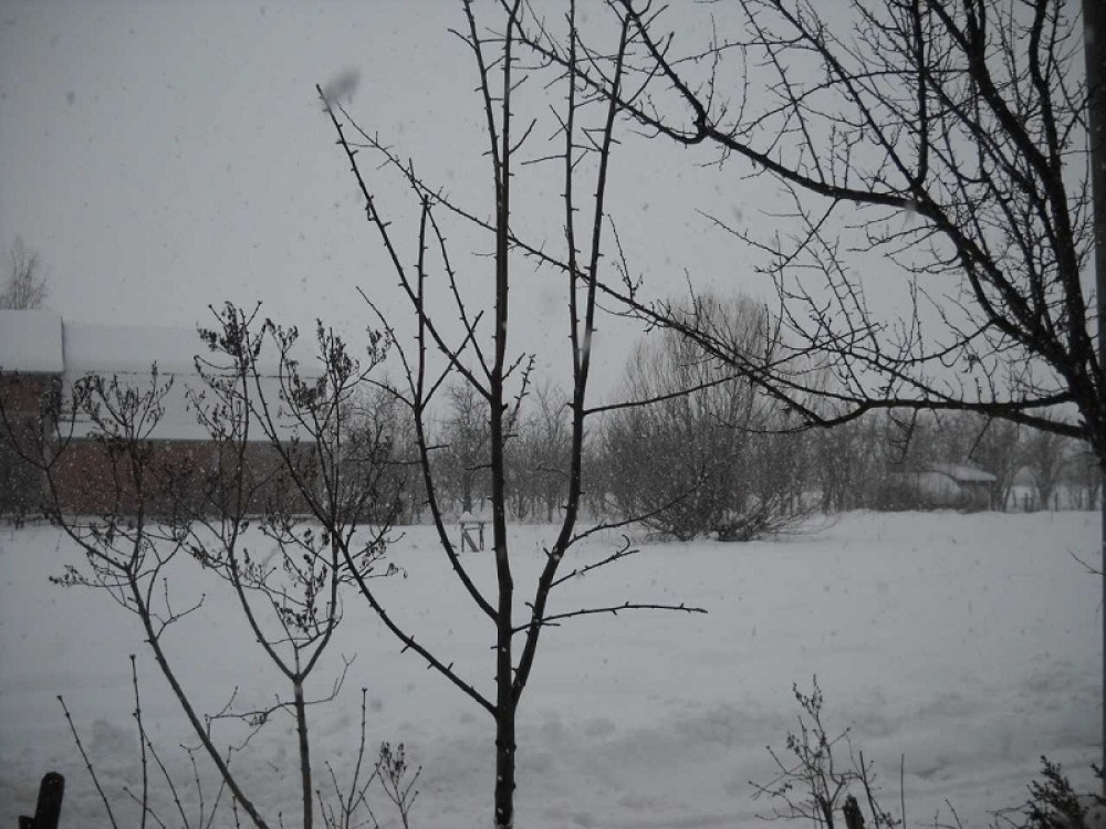 Sin zgrabio metalnu palicu ispred štale, pa počeo KRVNIČKI DA TUČE oca! Komšije čule zapomaganje, pa dojurile!