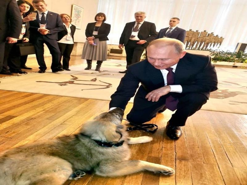 Putin se sreo sa Pašom, evo šta je mali šarplaninac prvo uradio! (FOTO)