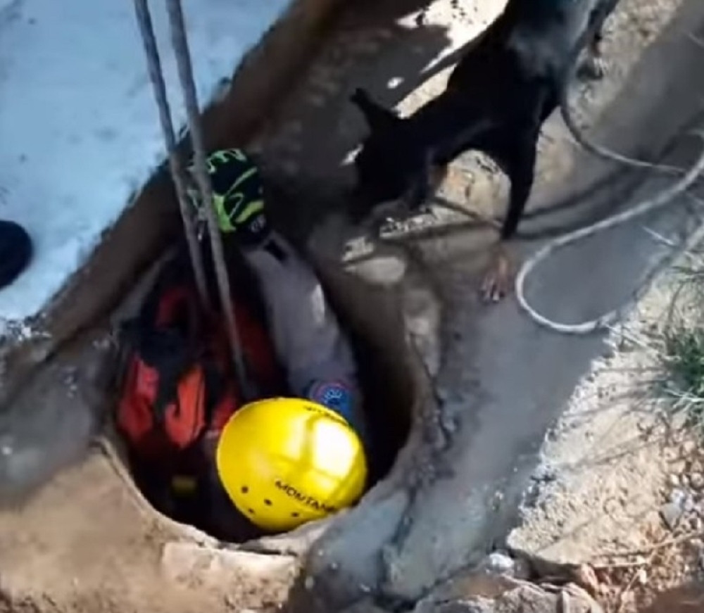 Pogledajte kako keruša pomaže pri spasavanju njenog šteneta (VIDEO)