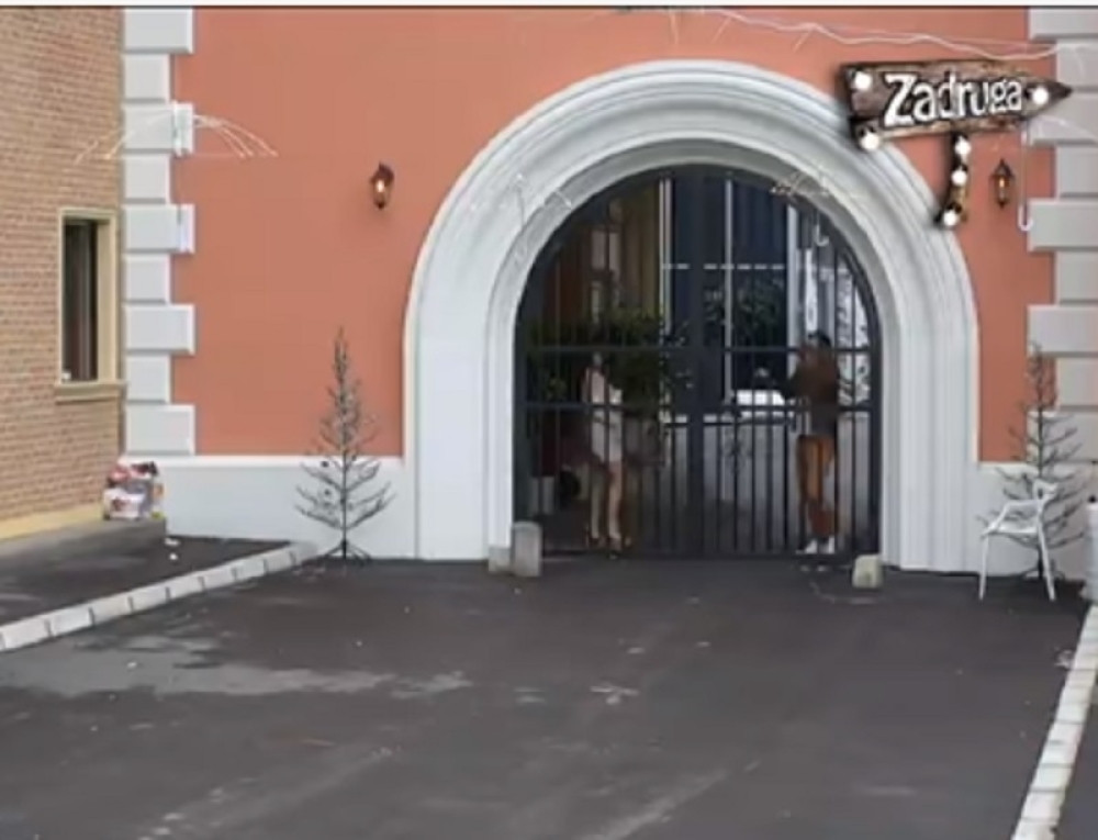 Ana Korać završila na kapiji! Počela da MOLI za Davida, on nije imao pojma!