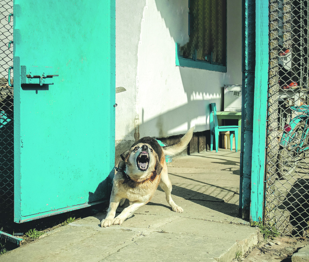 Kada vidite kako Beograđani na prevaru uzimaju novac, krstićete se levom i desnom