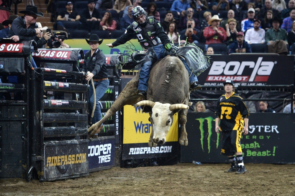 Osam sekundi na biku kao večnost!