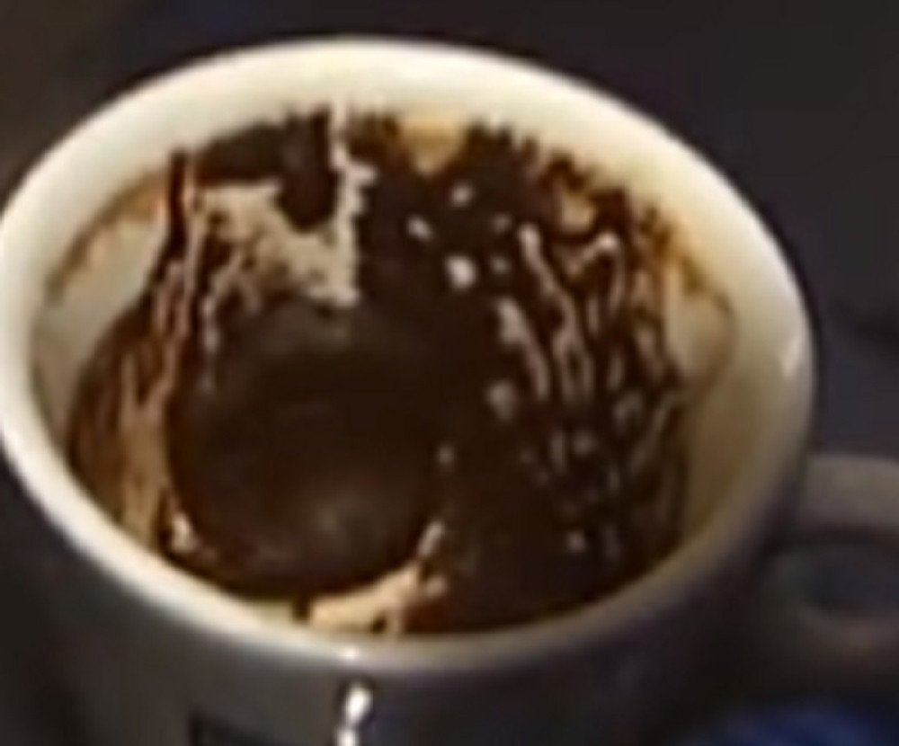 To je moguće ako ispoštujete OVIH 9 pravila!