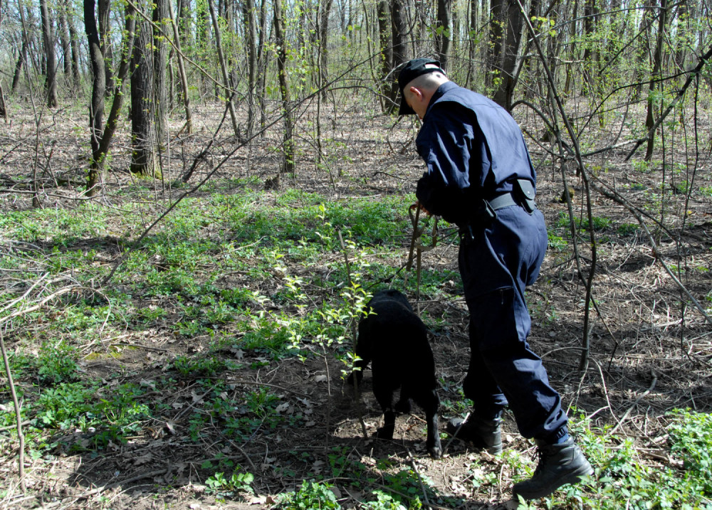 Aleksandar otišao u šumu da bere pečurke: Našalio se sa ženom, a onda su se ostvarile NAJCRNJE SLUTNJE! (FOTO)