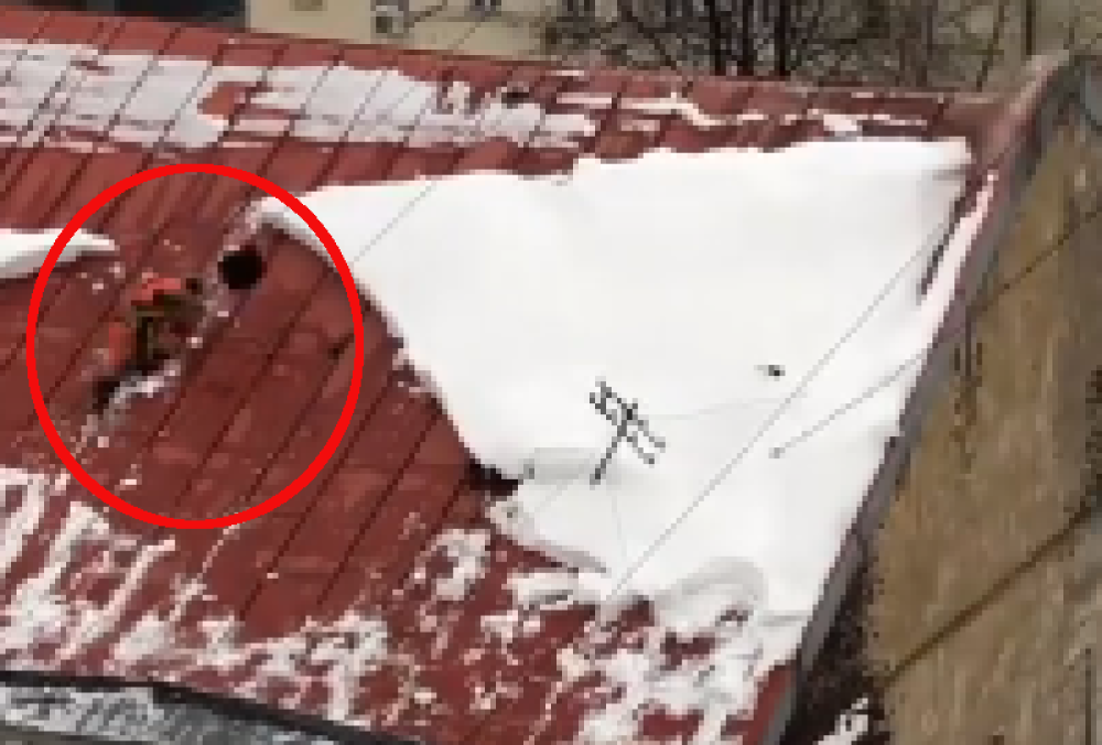 Čistio sneg, pa pao sa krova zgrade! Kad su drugi videli...