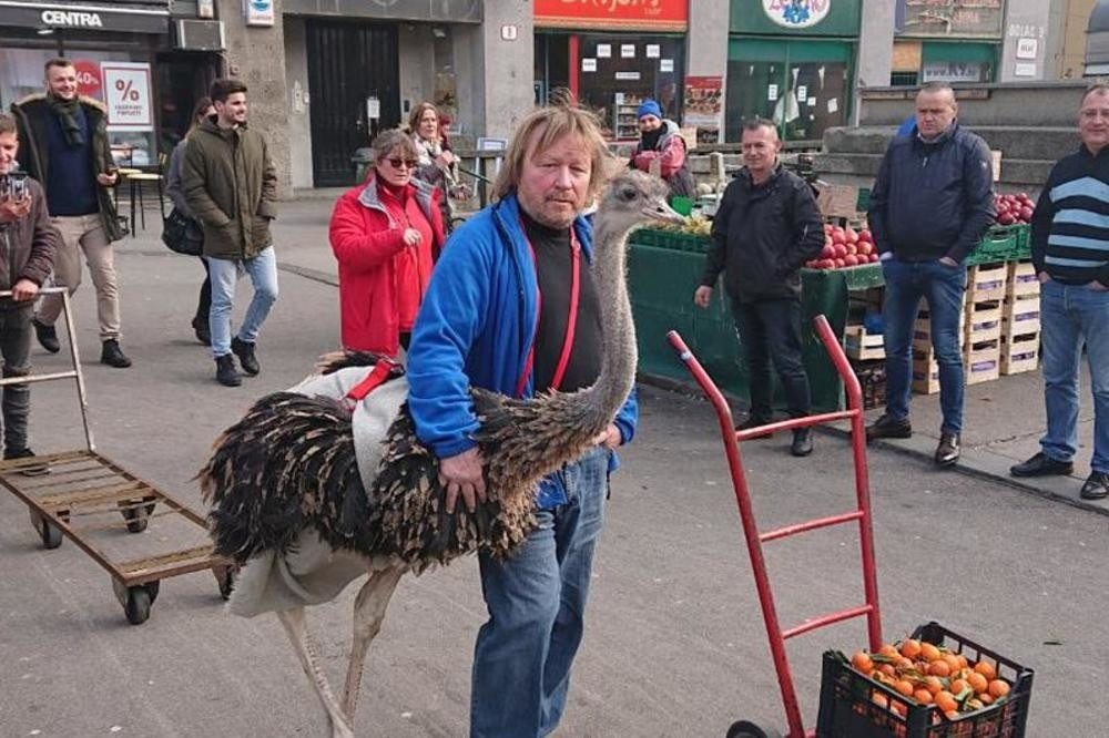 Hrvat šetao druga iz Slovenije, Zagrepčani se krstili sa obe ruke!