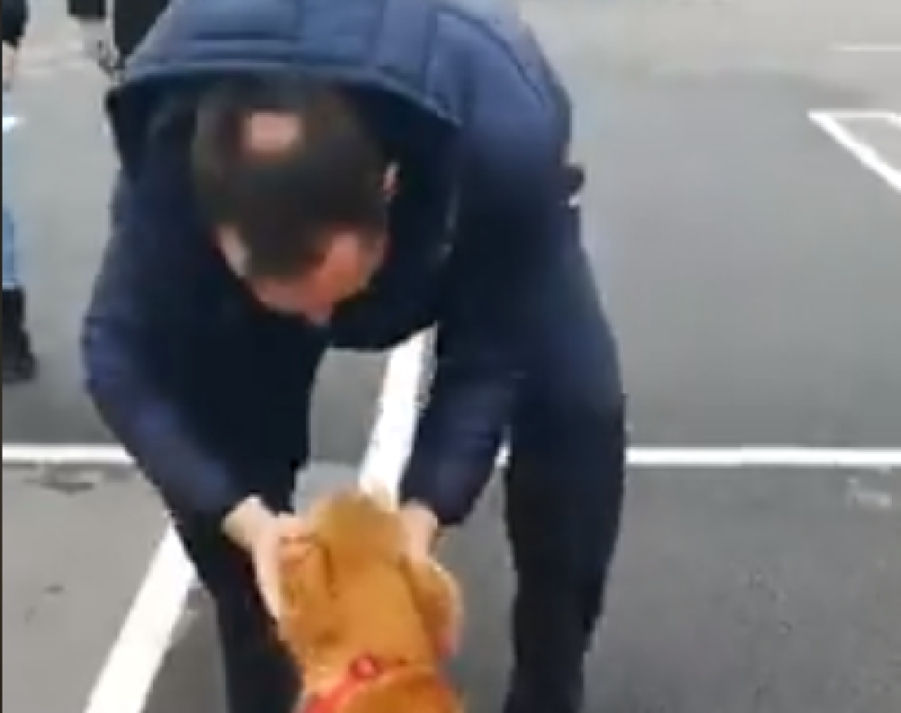 Porodica iz Beograda pronašla Emu posle tri godine! Uz veliku radost stigla i jedna tužna vest