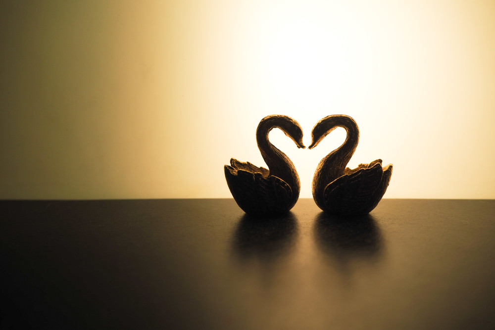 Posebno srećni u ljubavi: Ovih šest znakova zodijaka ne greše u izboru partnera!