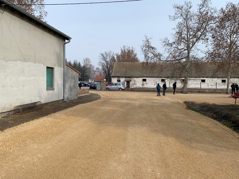 Litar mleka iz srpskog sela koštaće 50 evra, a sir će biti papreno skup! Lepe vesti obradovale poljoprivrednike!