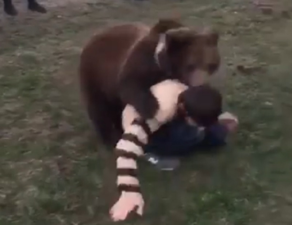 Habibov otac traži sinu naslednika na ovaj način! Dečaci se dokazuju u BORBI SA MEDVEDIMA! (VIDEO)